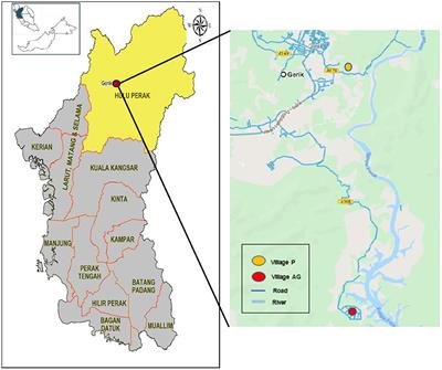 Arsenic in drinking water, hair, and prevalence of arsenicosis in Perak, Malaysia